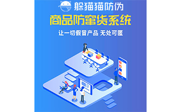 防竄貨系統(tǒng)